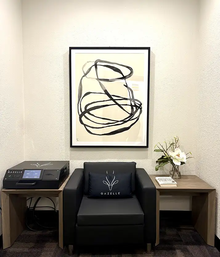 Gazelle Furniture Product in the office